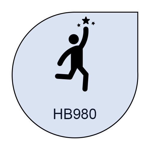 HB980- icônes